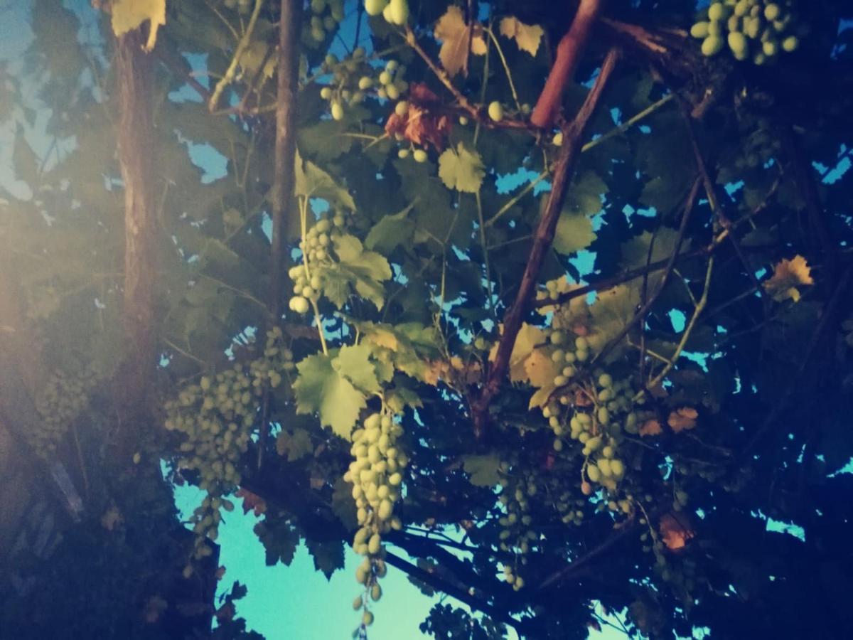 Casetta Nel Podere Di Massi Barberino di Mugello Exteriér fotografie