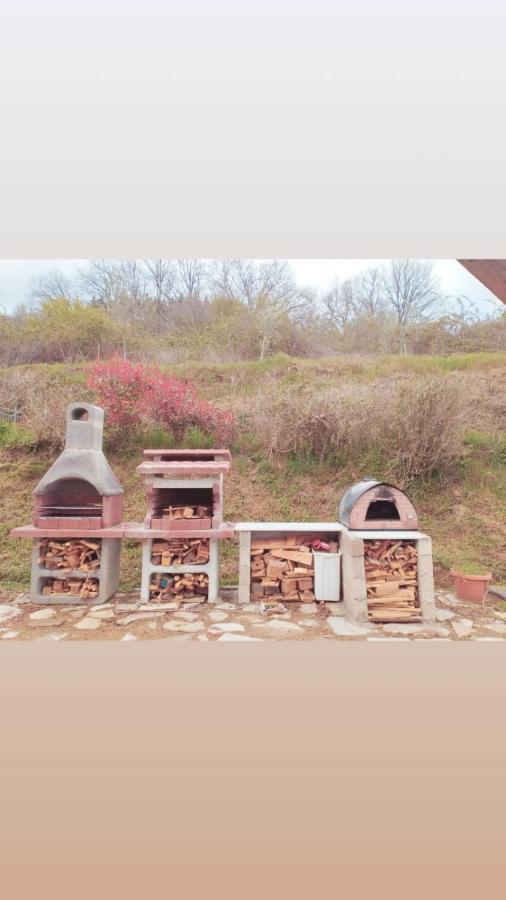 Casetta Nel Podere Di Massi Barberino di Mugello Exteriér fotografie