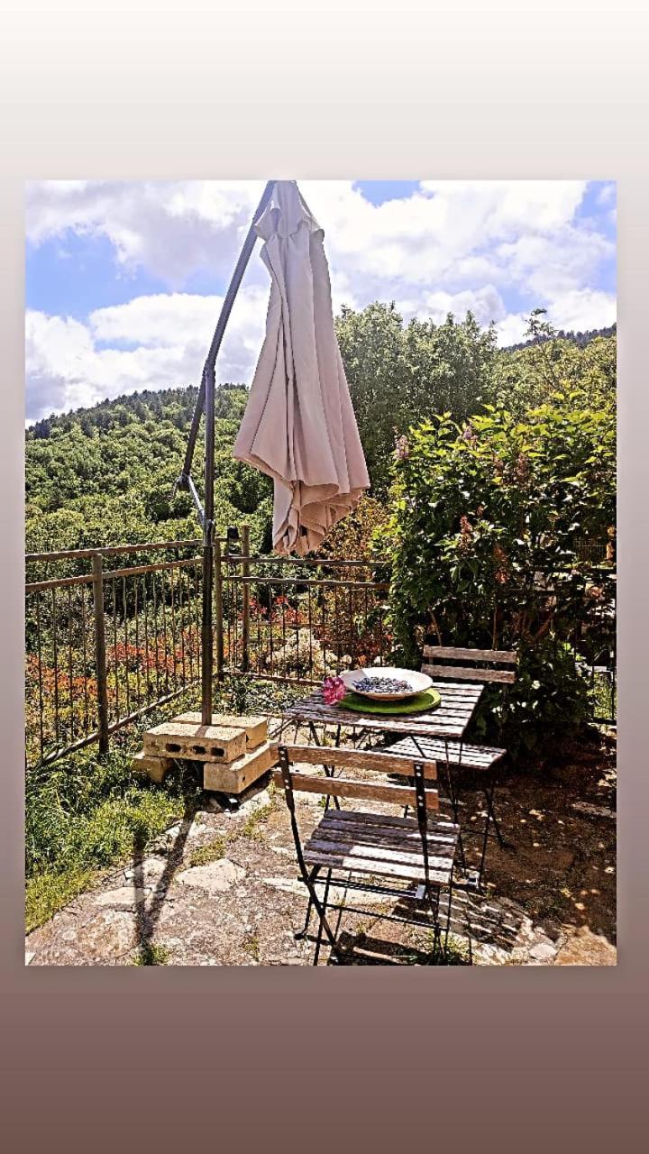 Casetta Nel Podere Di Massi Barberino di Mugello Exteriér fotografie
