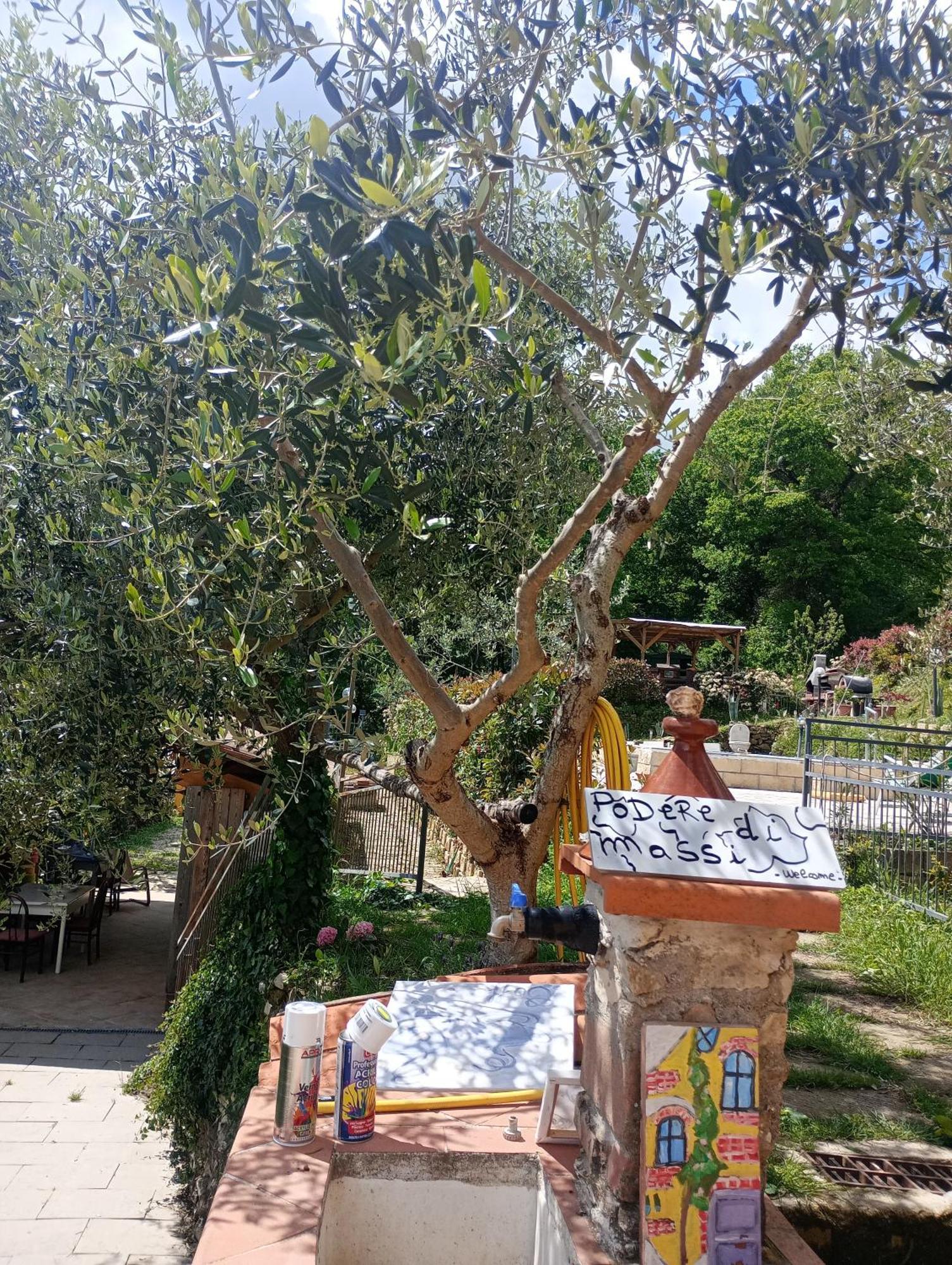 Casetta Nel Podere Di Massi Barberino di Mugello Exteriér fotografie