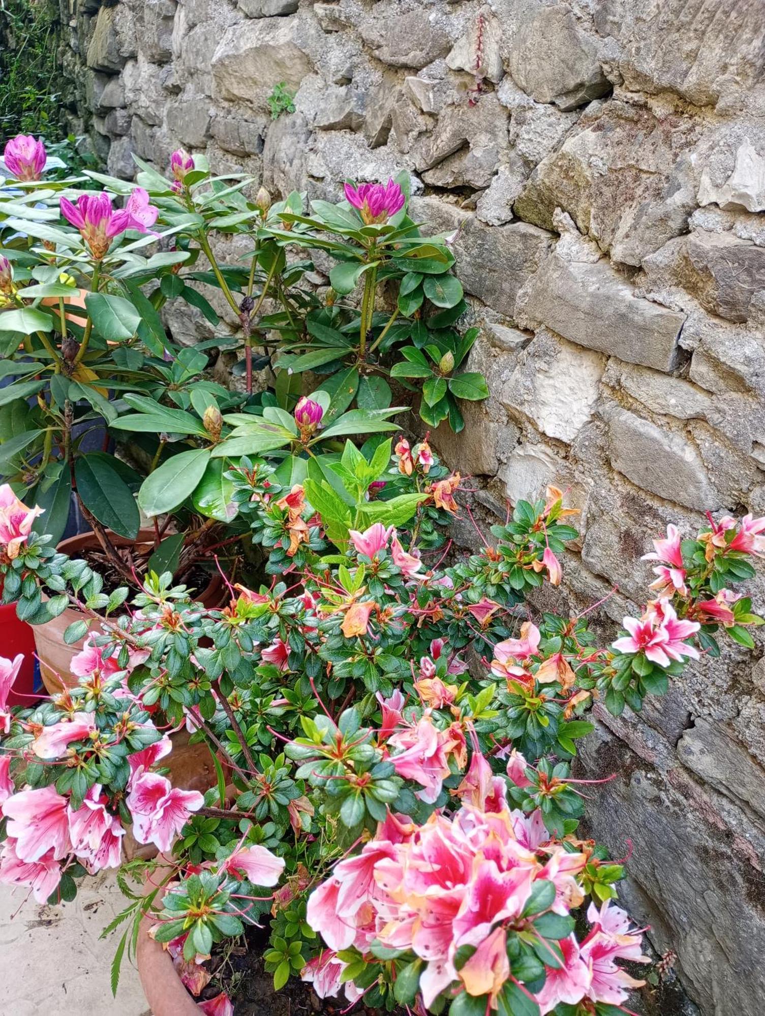 Casetta Nel Podere Di Massi Barberino di Mugello Exteriér fotografie